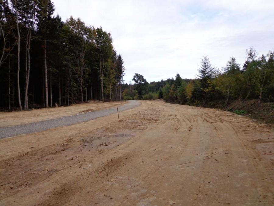autostrada w lesie..okolice czarnego szlaku