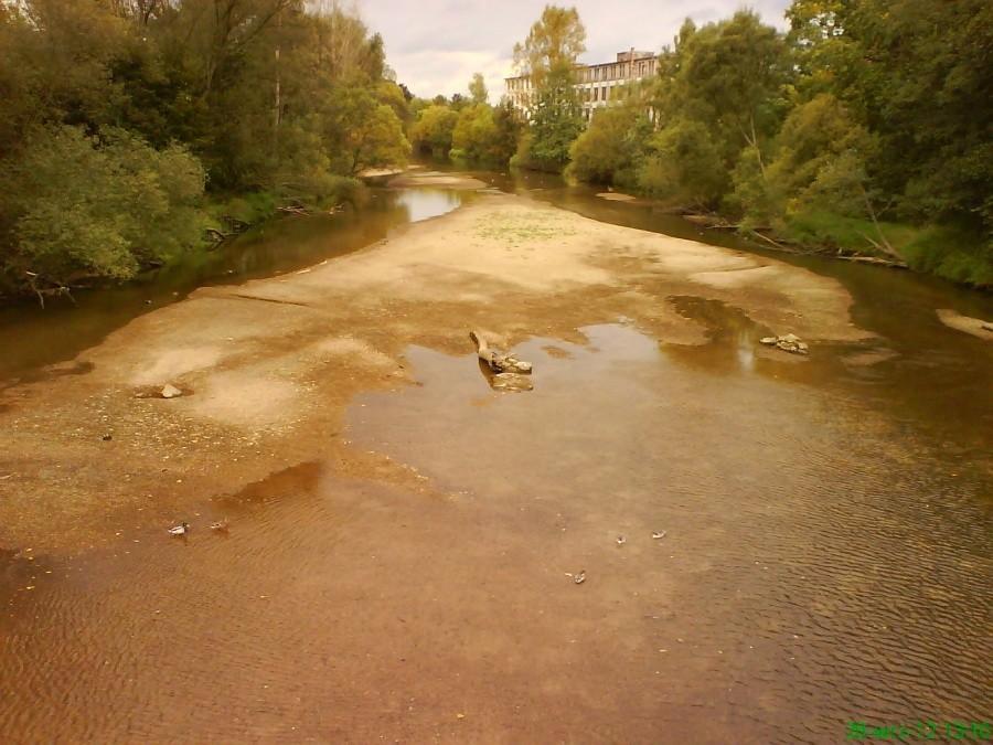 Bóbr. Kaczkom sięga po kolana...