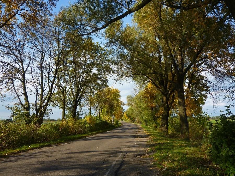 Jesień. Pilaszków