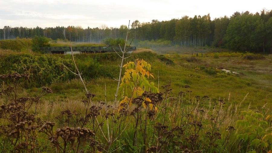Teren dawnej bazy rakietowej. Łosiowe Błota. Bemowo.