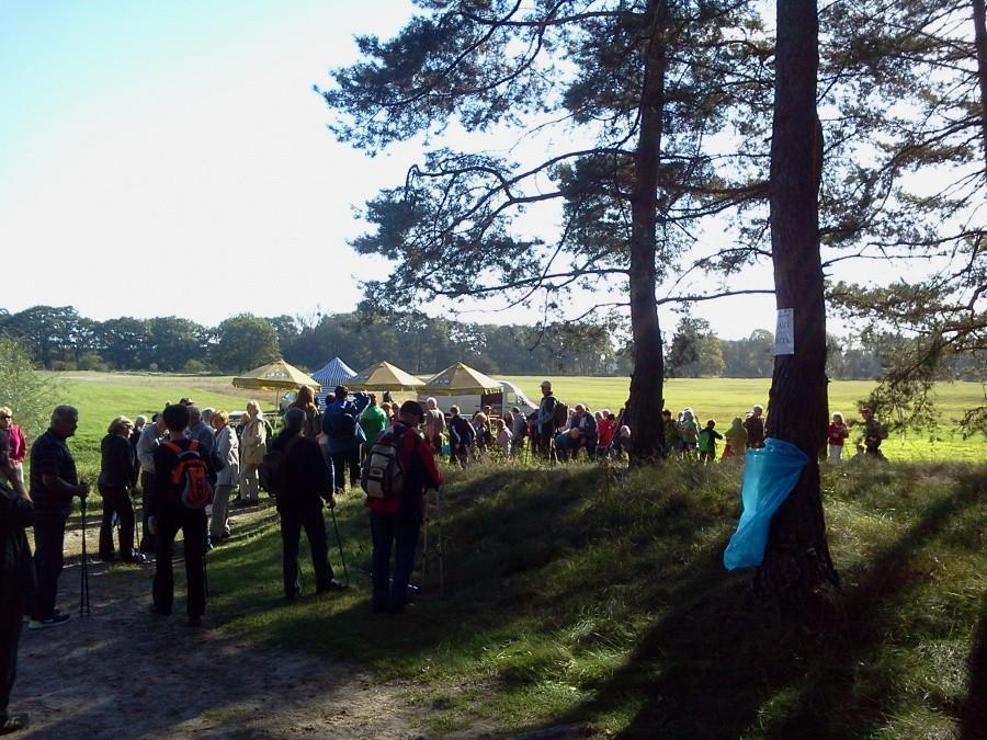 Impreza nordic walking w Krajkowie