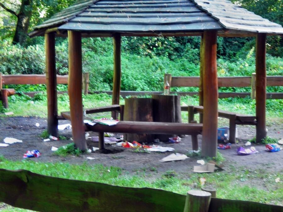 Polskie grilowanie - niezmiennie tradycyjne widoki, pełna "kultura".