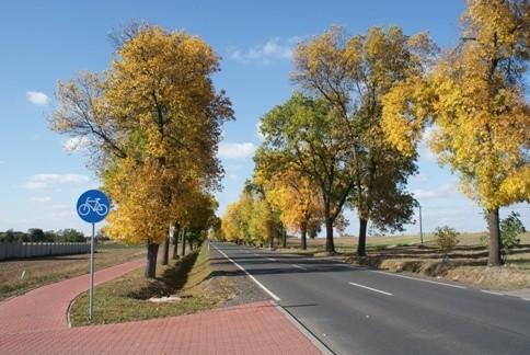 DDR z Tomaszowa do Ujazdu