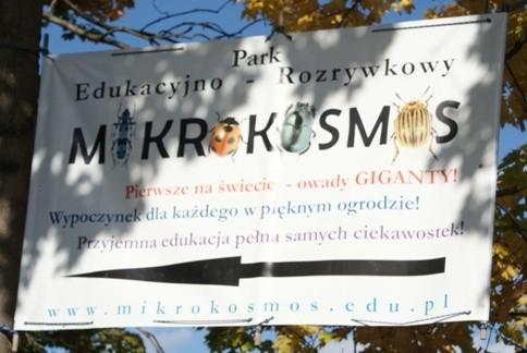 reklama :)