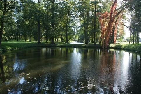 park pałacowy w Ujeździe