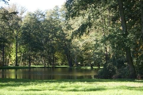 park pałacowy w Ujeździe