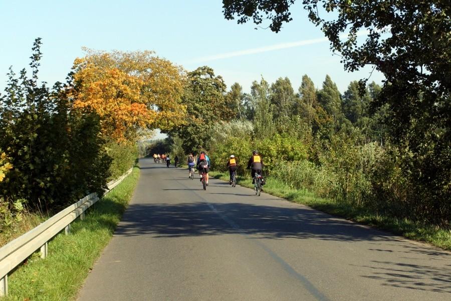 Rowerzyści w drodze