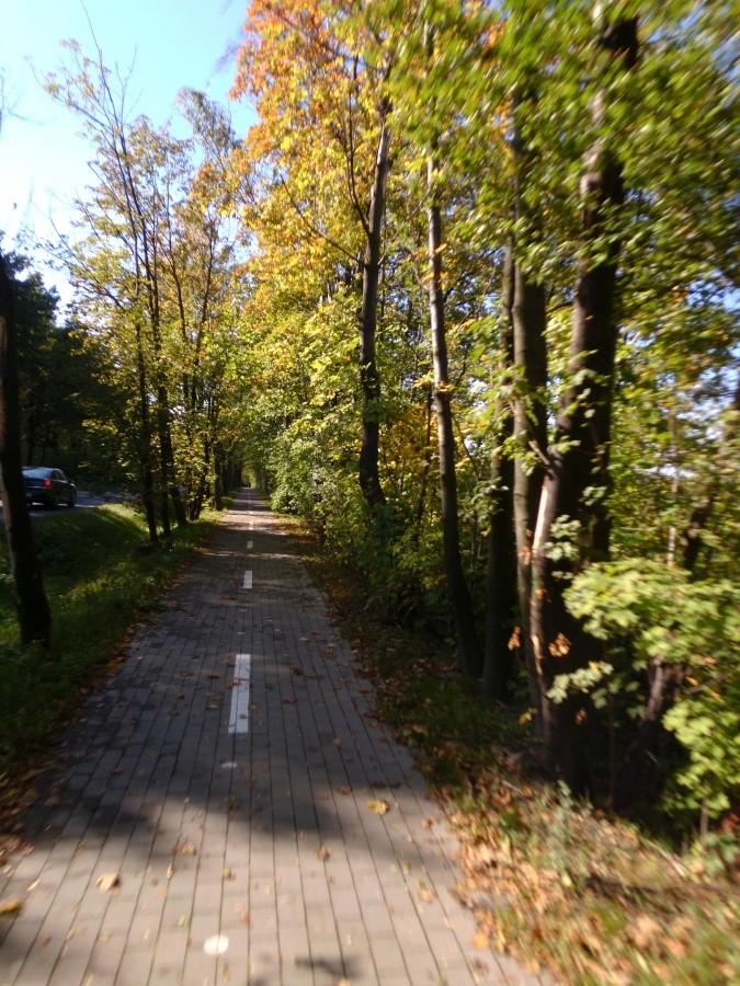 W drodze na wyścig: dwukierunkowe ścieżki rowerowe w Zabrzu