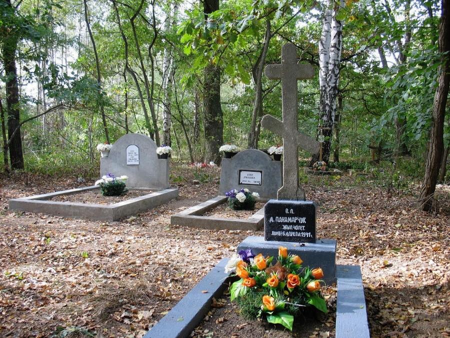 Za murem cmentarza w Skułach