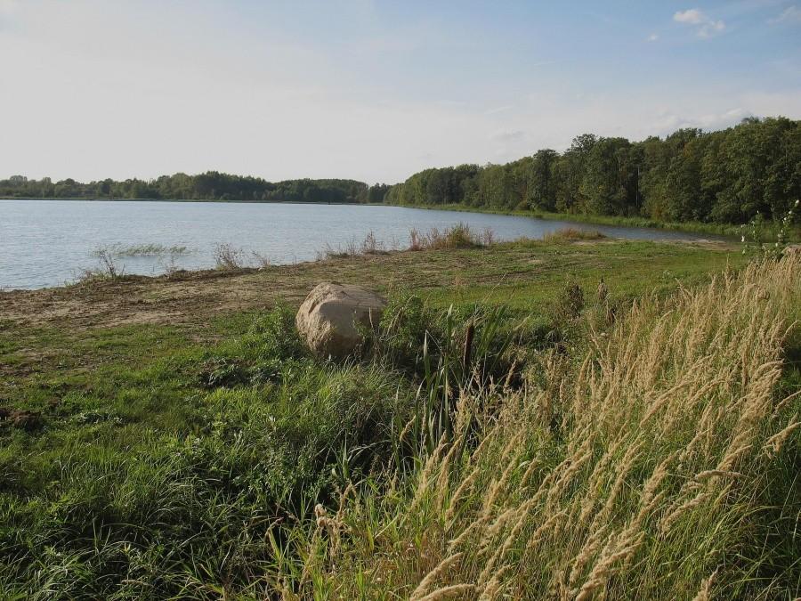 Staw pod Dębiną