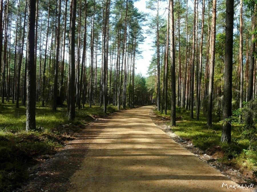 "1+750" do Kokotka
