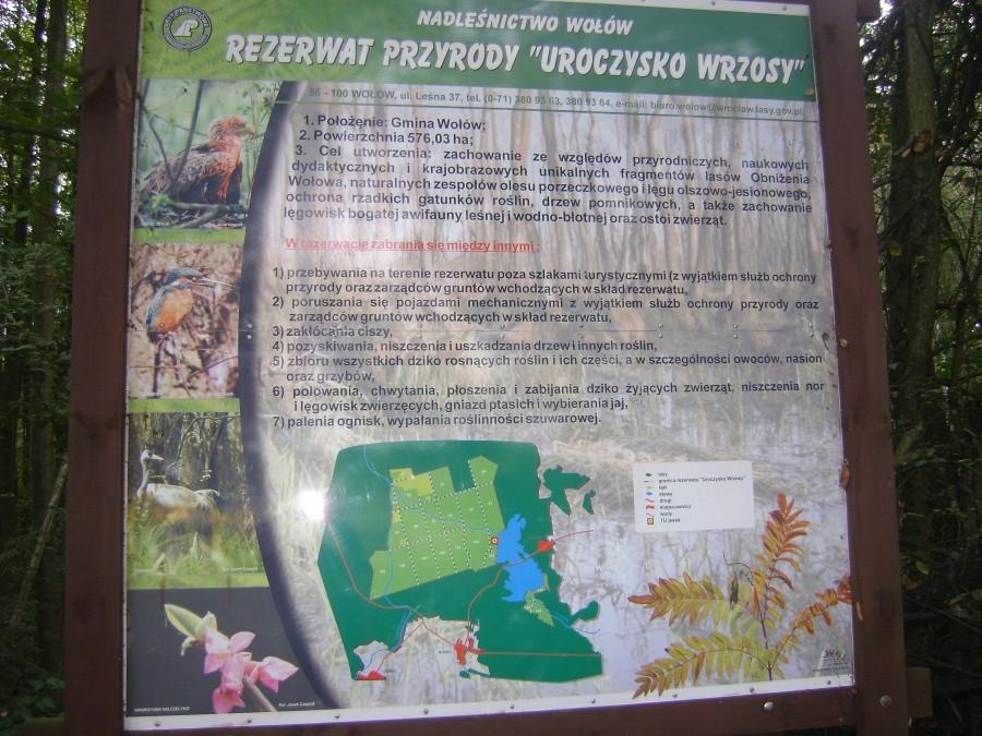 Rezerwat przyrody "Uroczysko Wrzosy"