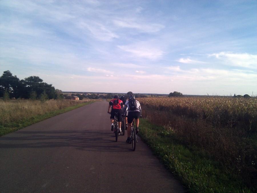 Zjazd z 16 do 17 pnk - Otwockie MTBO 11