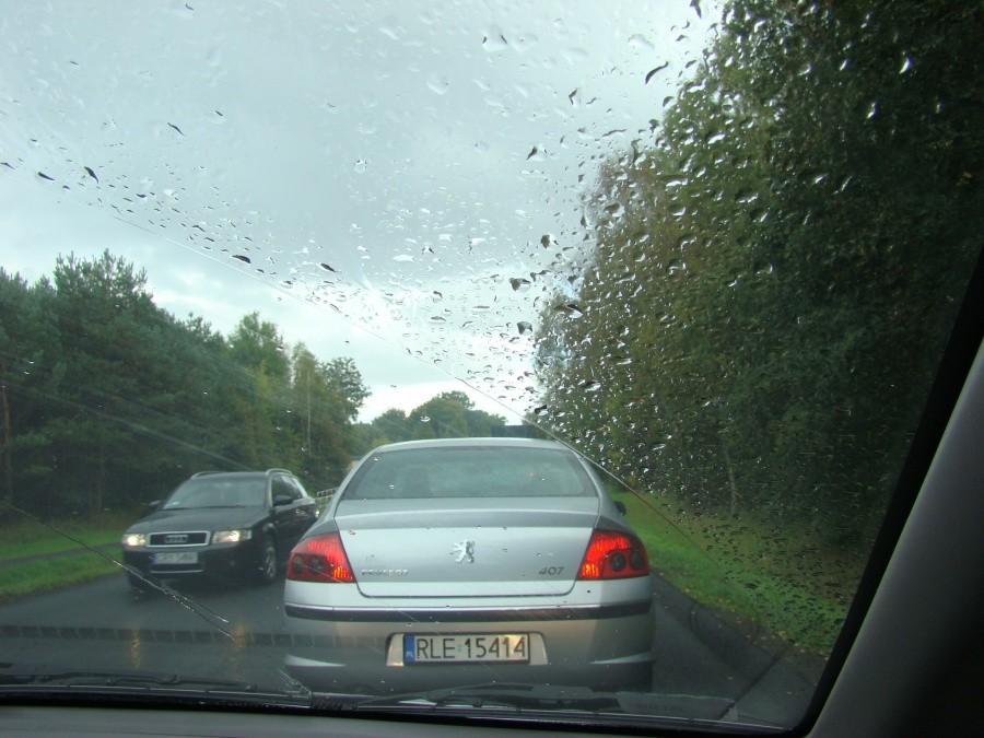 Żuławy Wkoło .Dzień pierwszy - dojazd do Tczewa 7