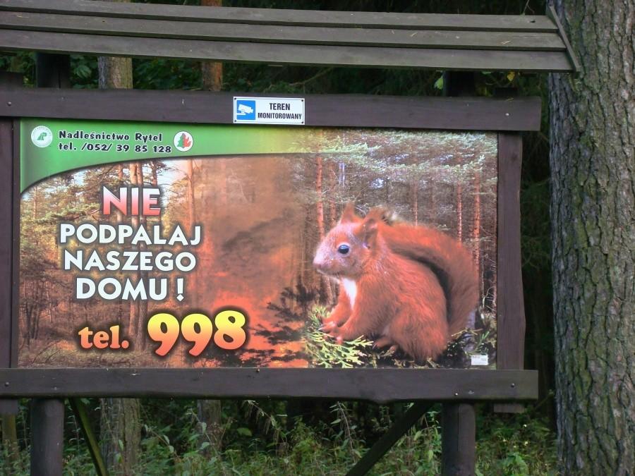 Żuławy Wkoło .Dzień pierwszy - dojazd do Tczewa 17