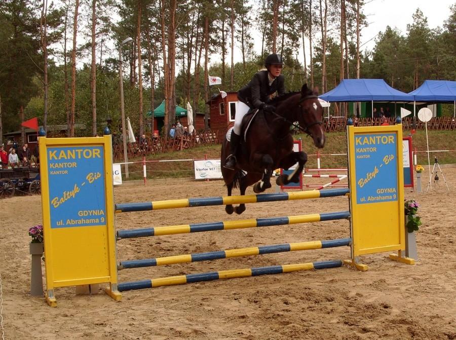 Skoki przez przeszkody „Leśna Podkowa” w Damaszce