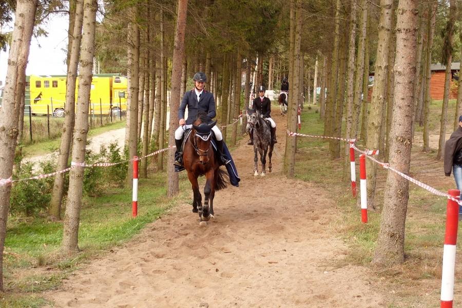 Skoki przez przeszkody „Leśna Podkowa” w Damaszce