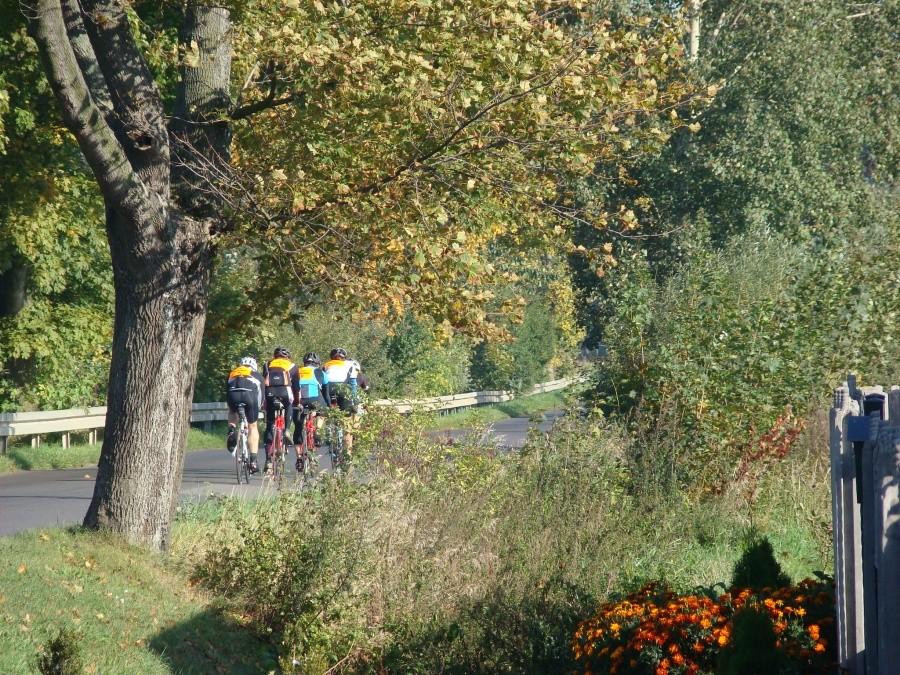 Żuławy Wkoło . Dzień drugi - MARATON 31
