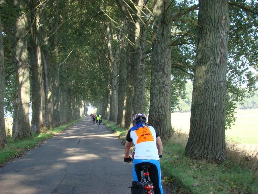 Żuławy Wkoło . Dzień drugi - MARATON 50