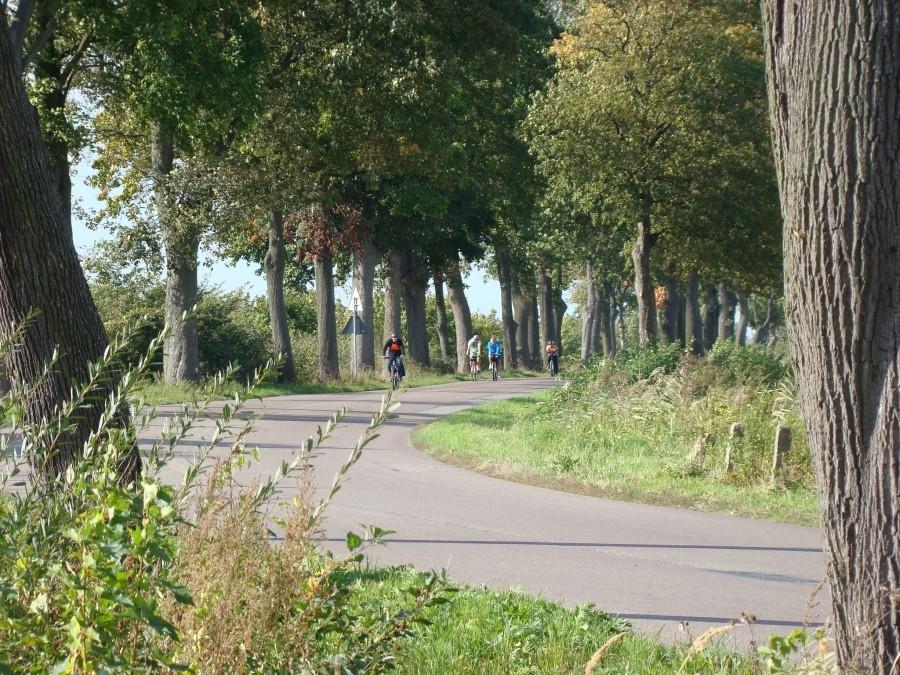 Żuławy Wkoło . Dzień drugi - MARATON 81