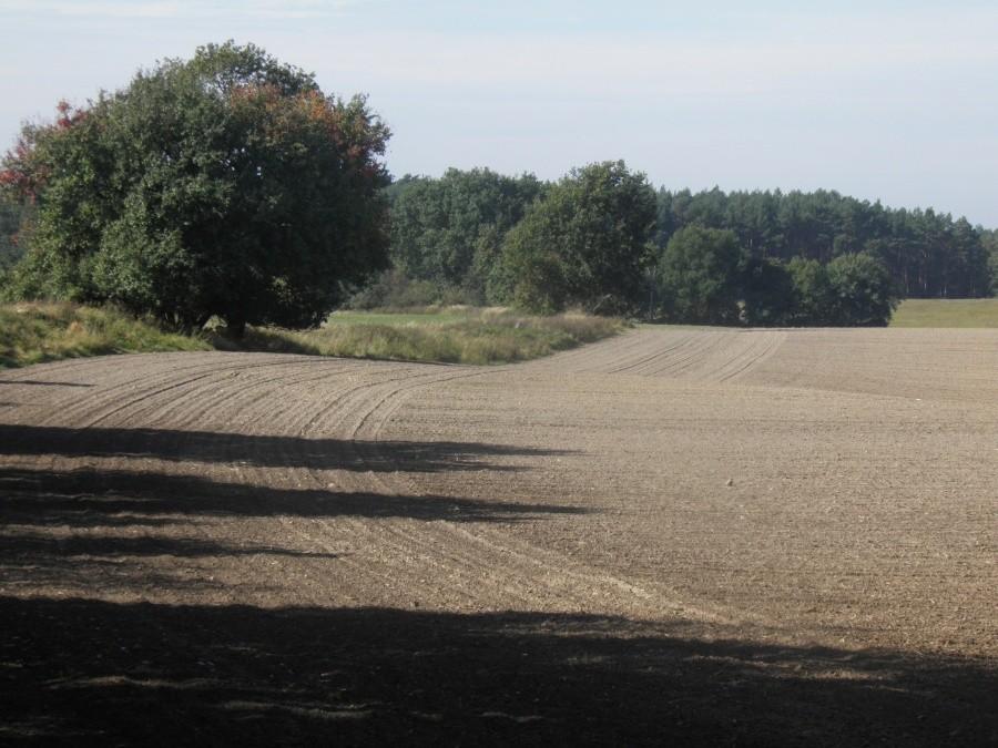 Już po orce - na zdjęciu duże, zaorane pola pod miejscowością Blankensee.