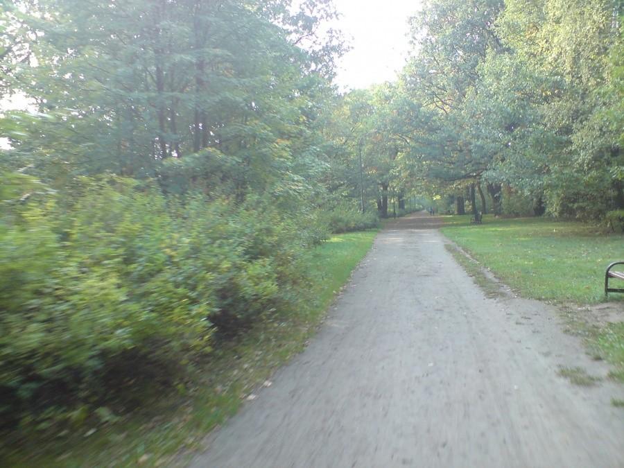 Park 3 Maja