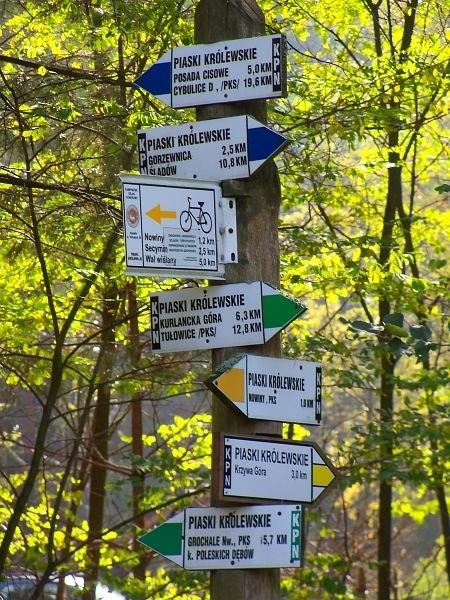 Węzeł szlaków, Piaski Królewskie