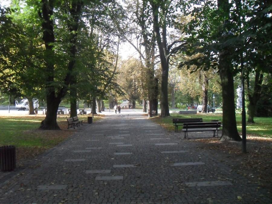 park pod jasną górą