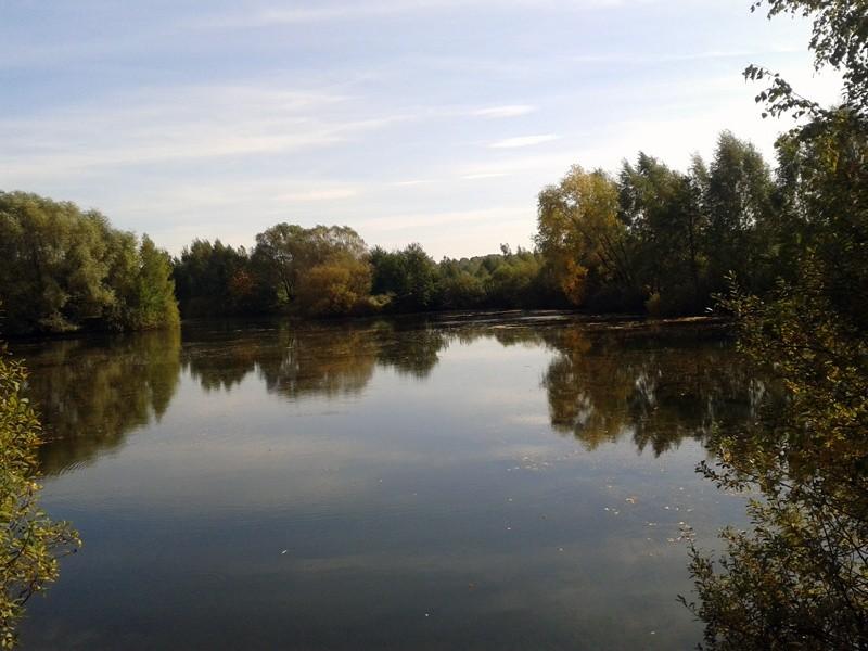 Stawy koło Łagiewnik.