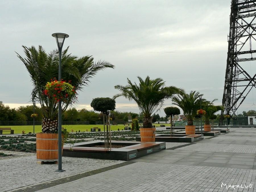 Gliwice słyną z palm (palmiarnia)