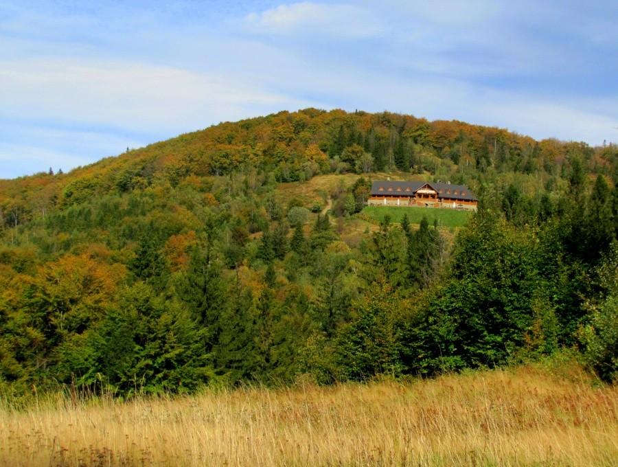 Widoki na podjezdzie