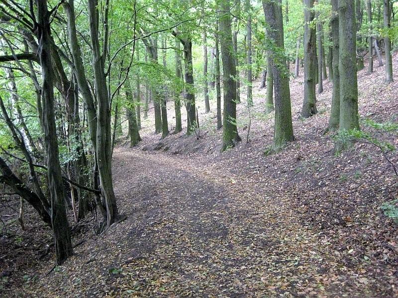 Park Krajobrazowy Promno ma bardzo ciekawą i atrakcyjną formę ukształtowania terenu dla kolarzy górskich