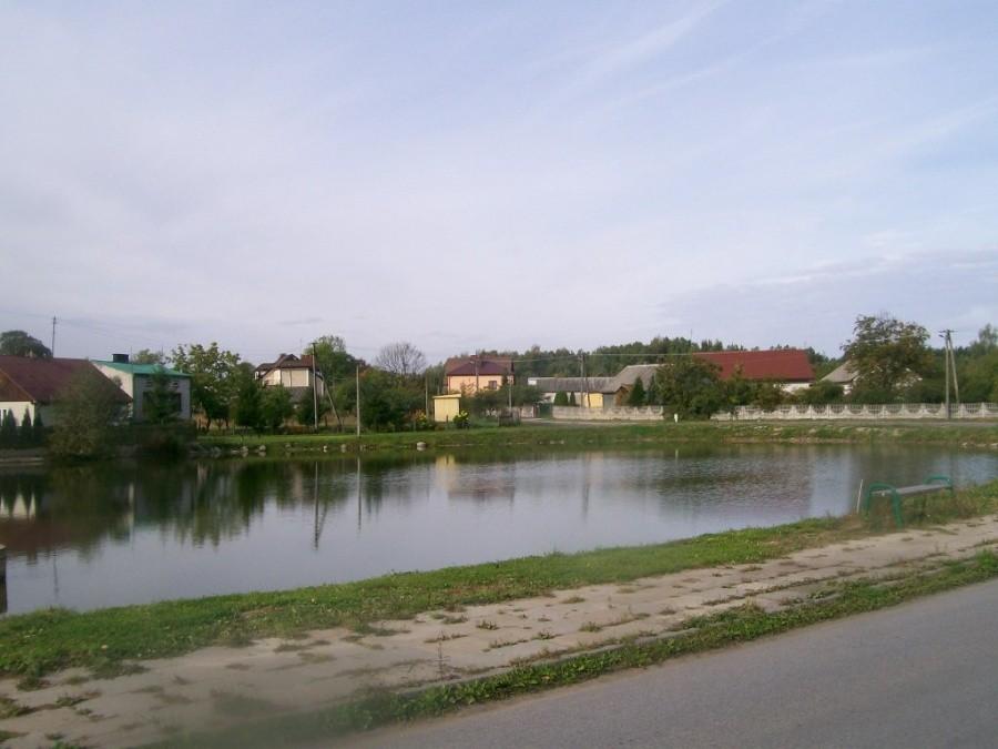wiejski staw w Jasionnej