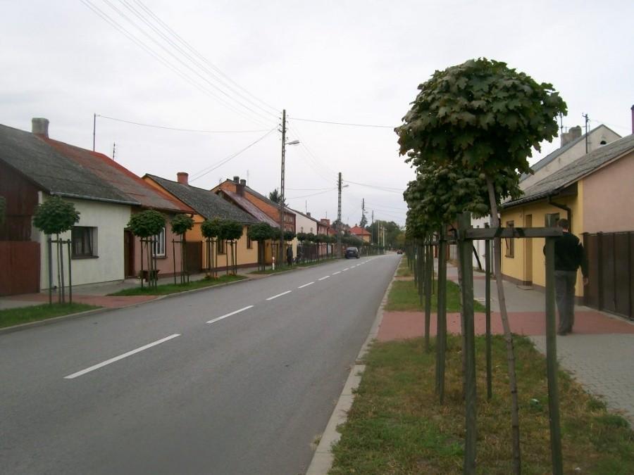 drewniana zabudowa wzdłuż drogi 48 w Wyśmierzycach