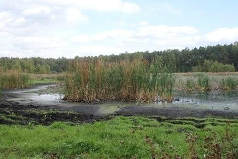Jezioro Ług z lekka wyschnięte