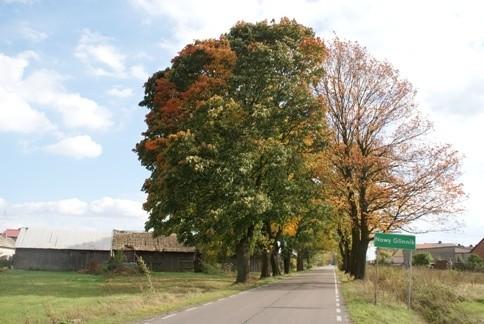te drzewa zawsze tutaj są klimatyczne, czy to wiosna czy jesień