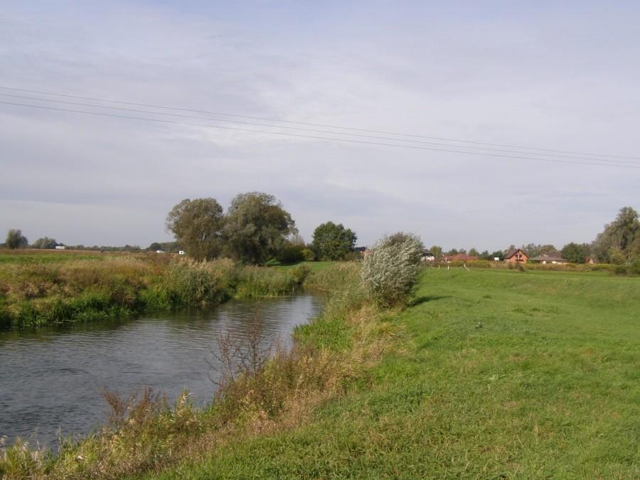 Widawa w Krzyżanowicach