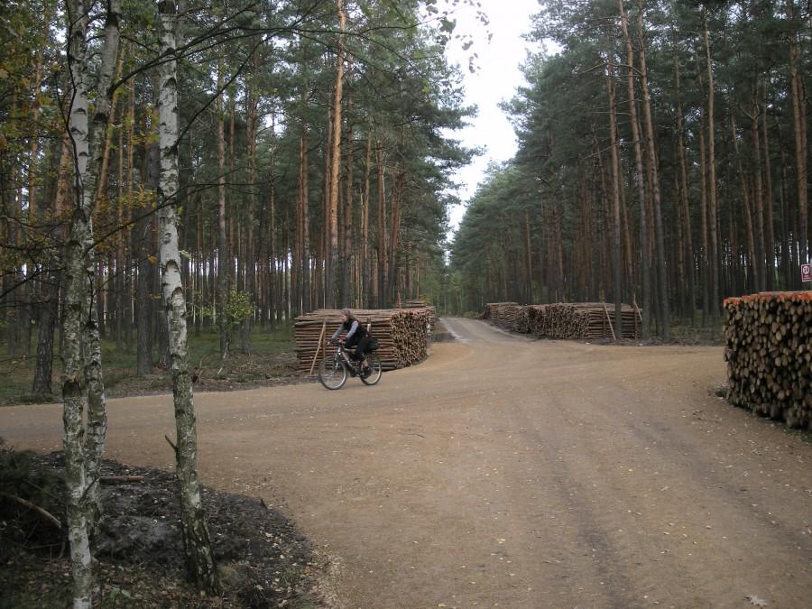 Dębowcówka Anno Domini 2012