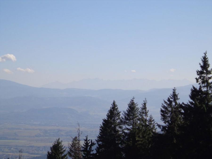 Tatry z Klimczoka