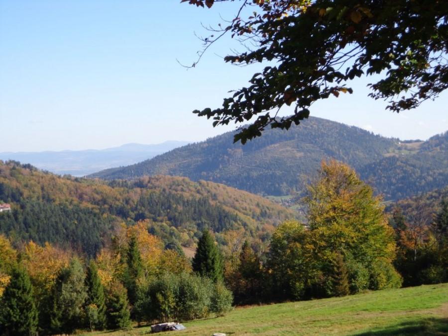 Jesień w Beskidzie