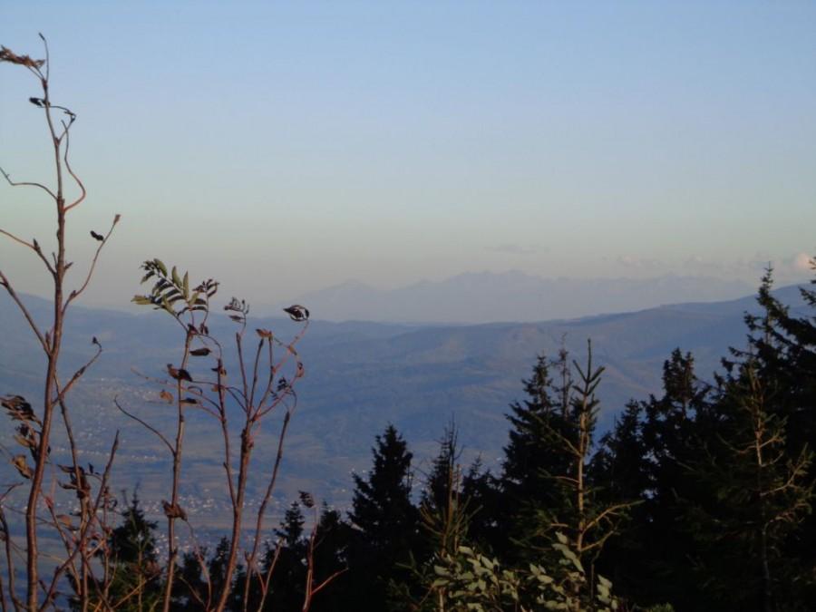 Tatry z Małego SKrzycznego