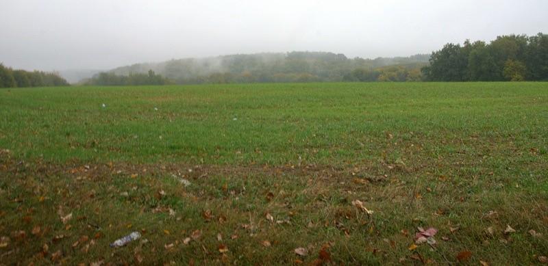 brakuje tylko wilków....