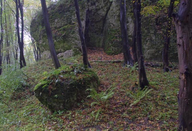 Skałki jurajskie
