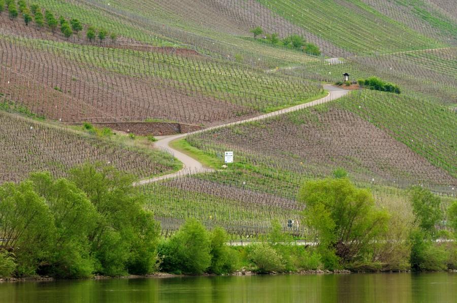 Widok z Erden