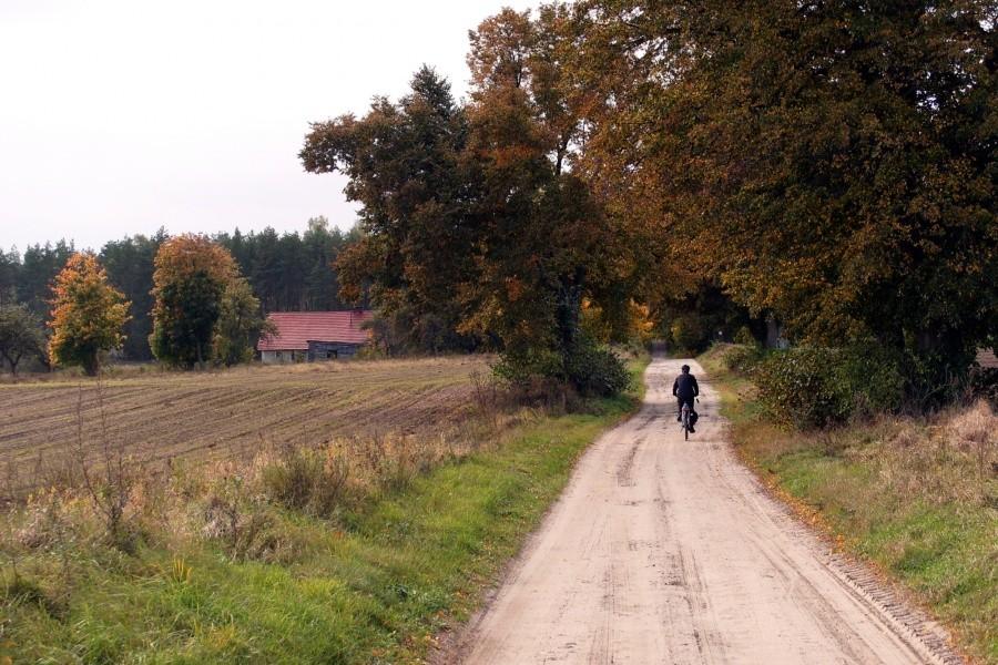 Jesień na Kociewiu