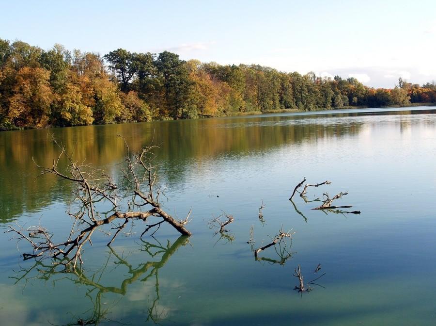 Jesienny krajobraz nad Jeziorem Zduńskim.