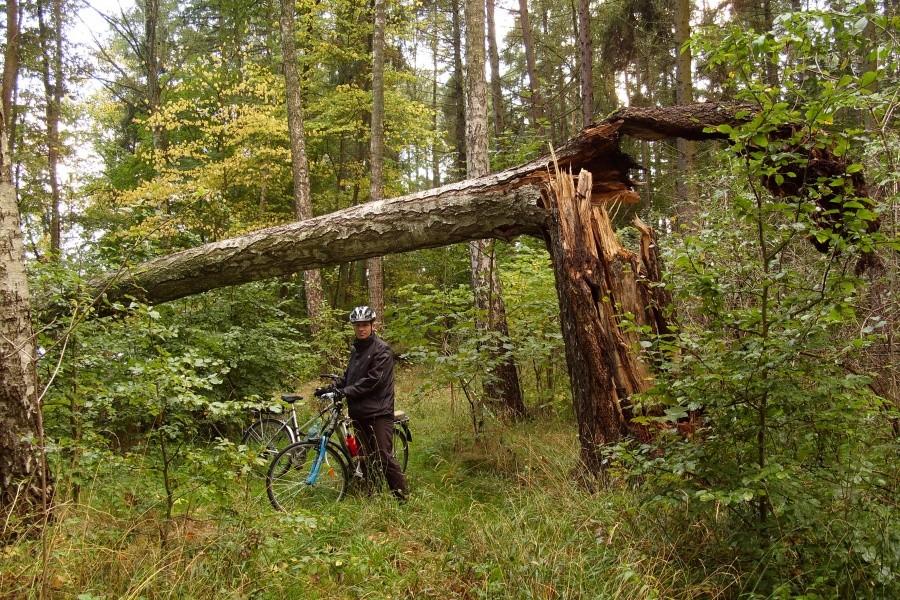 Trasa rowerowa nieprzejezdna