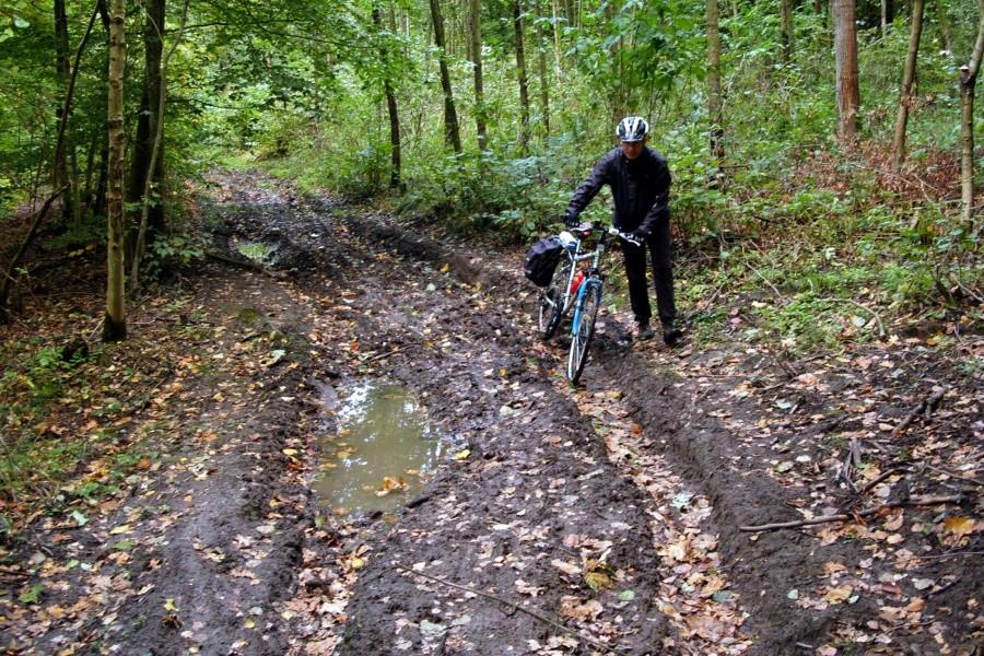 Mały odcinek trasy koło Jeziora Zduńskiego, wyglądał tak….