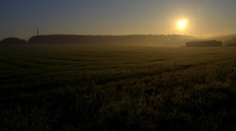chłodny poranek pod Kochłowicami