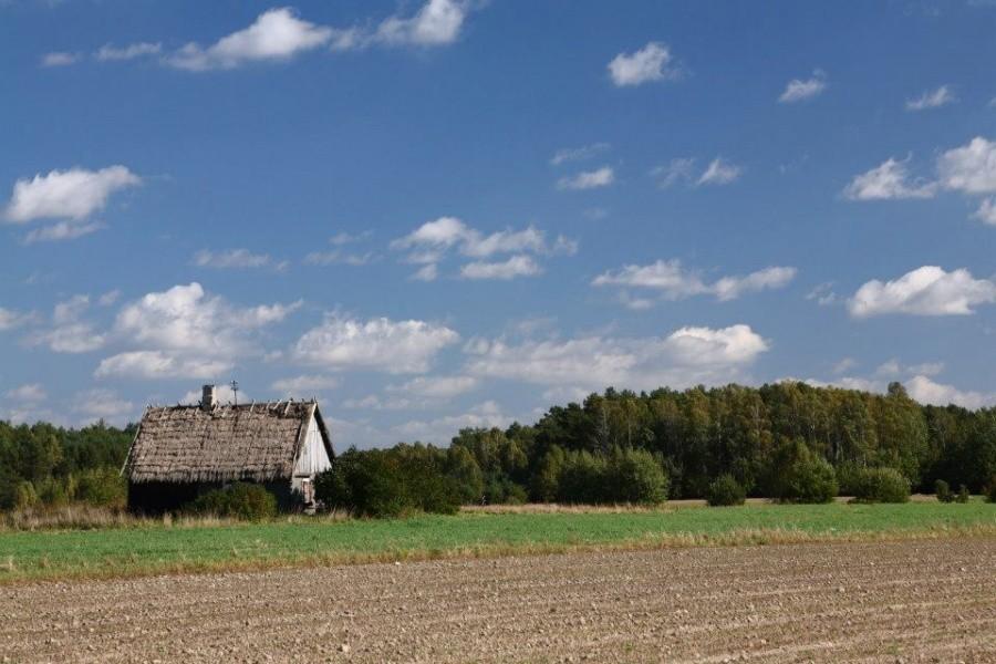 Zdjęcie zrobione przez orga. Wypas, nie?